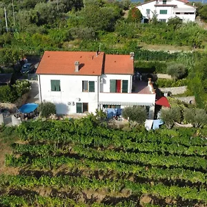 In Vino Veritas Włochy